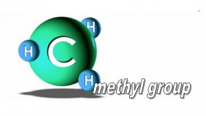methylgroup-300x170